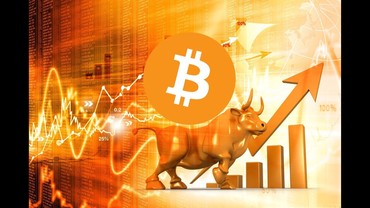 BTC Bull Run Bitcoin Price Growth Prediction
