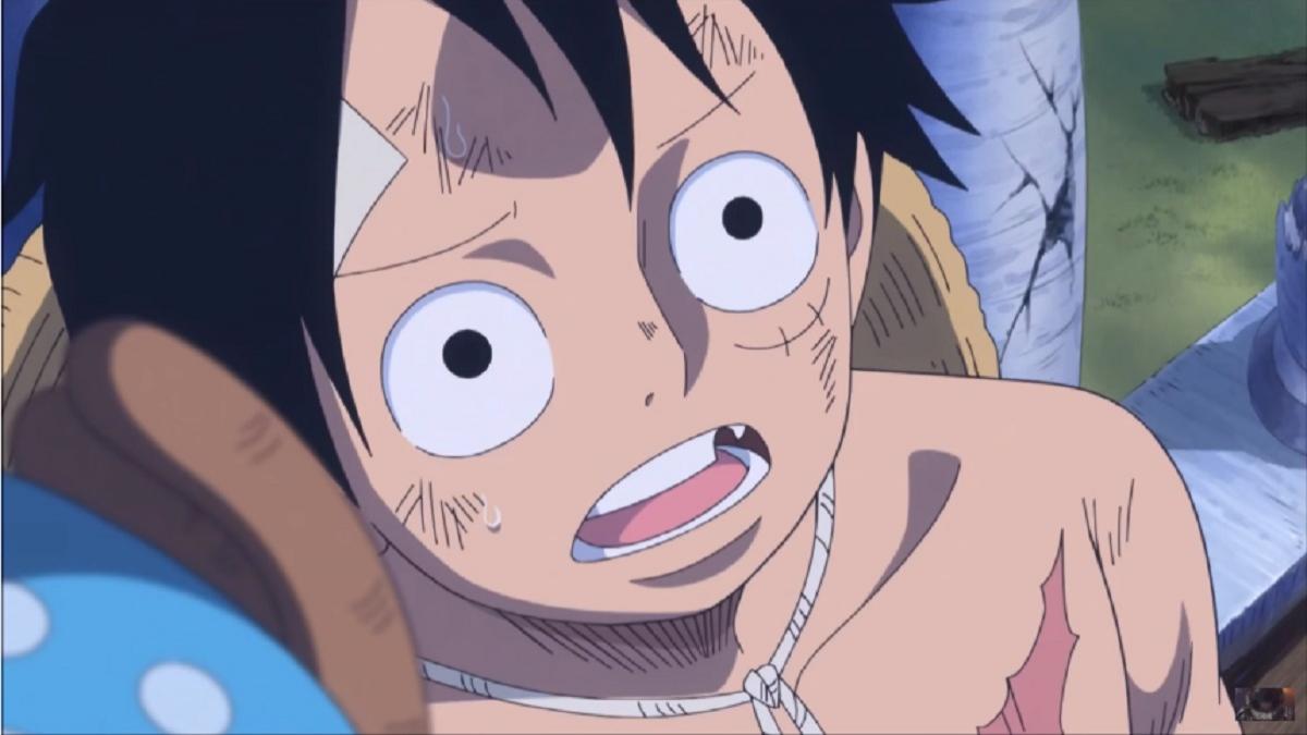 One Piece 876 Delayed