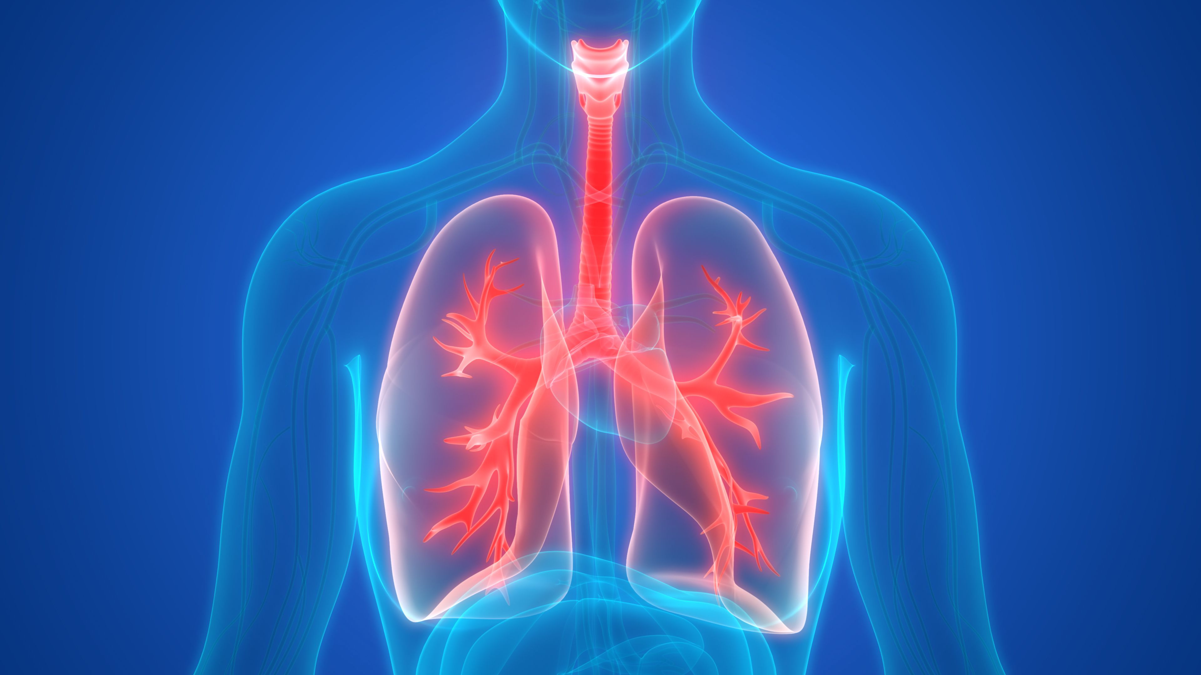 What are the symptoms of lung cancer?