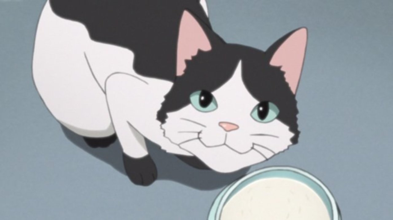 'Boruto' Episode 104- More Focus On Mitsuki