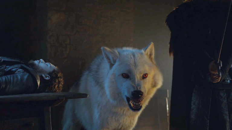 Game of Thrones Season 8 Episode 3: Ghost survived the Battle of Winterfell