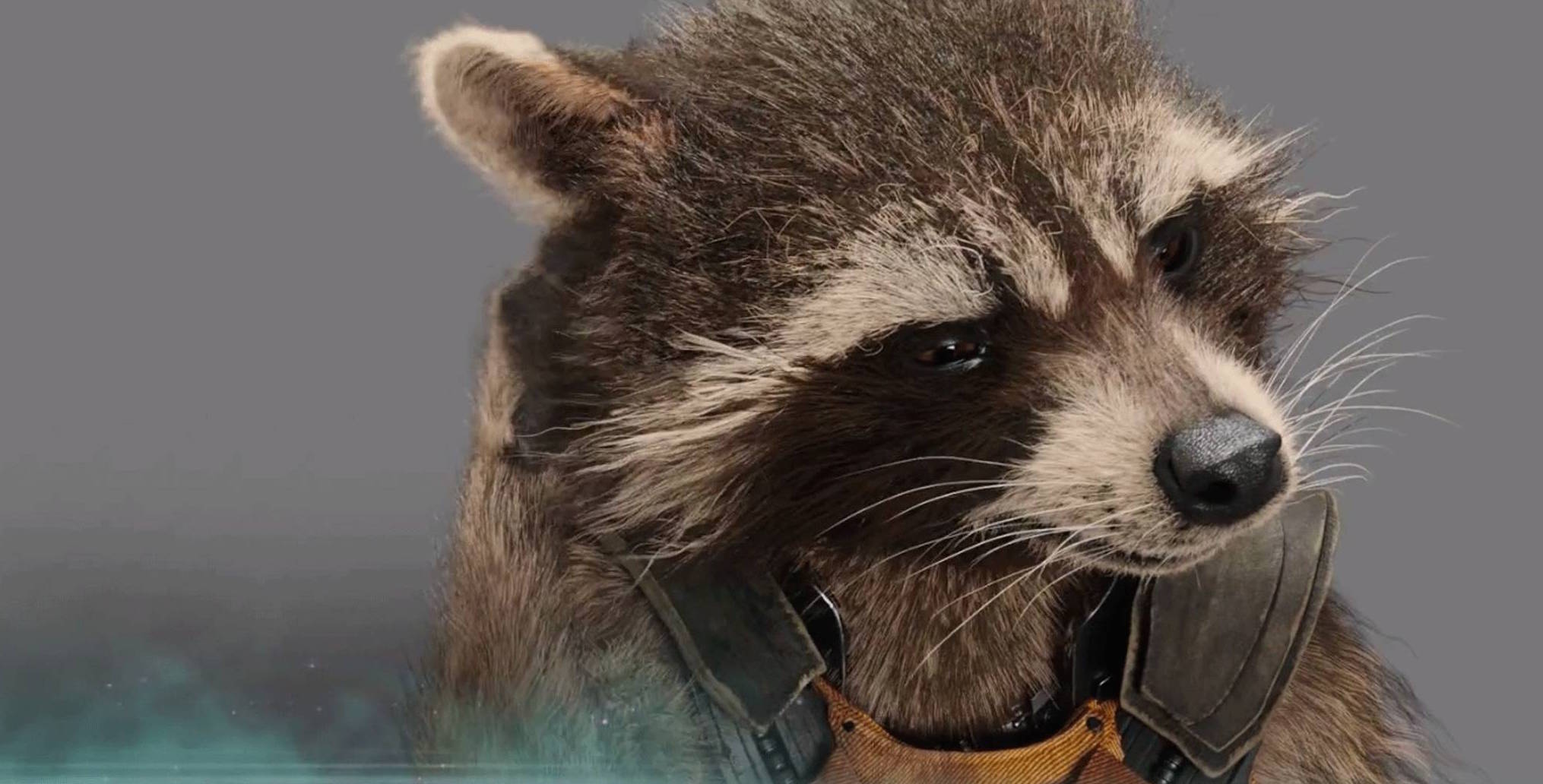 Guardians Of The Galaxy volume 3 rocket racoon