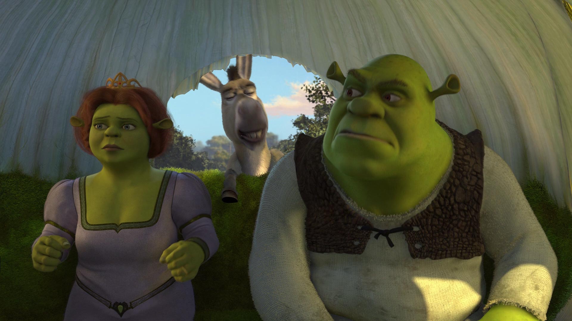 Shrek 5 Release