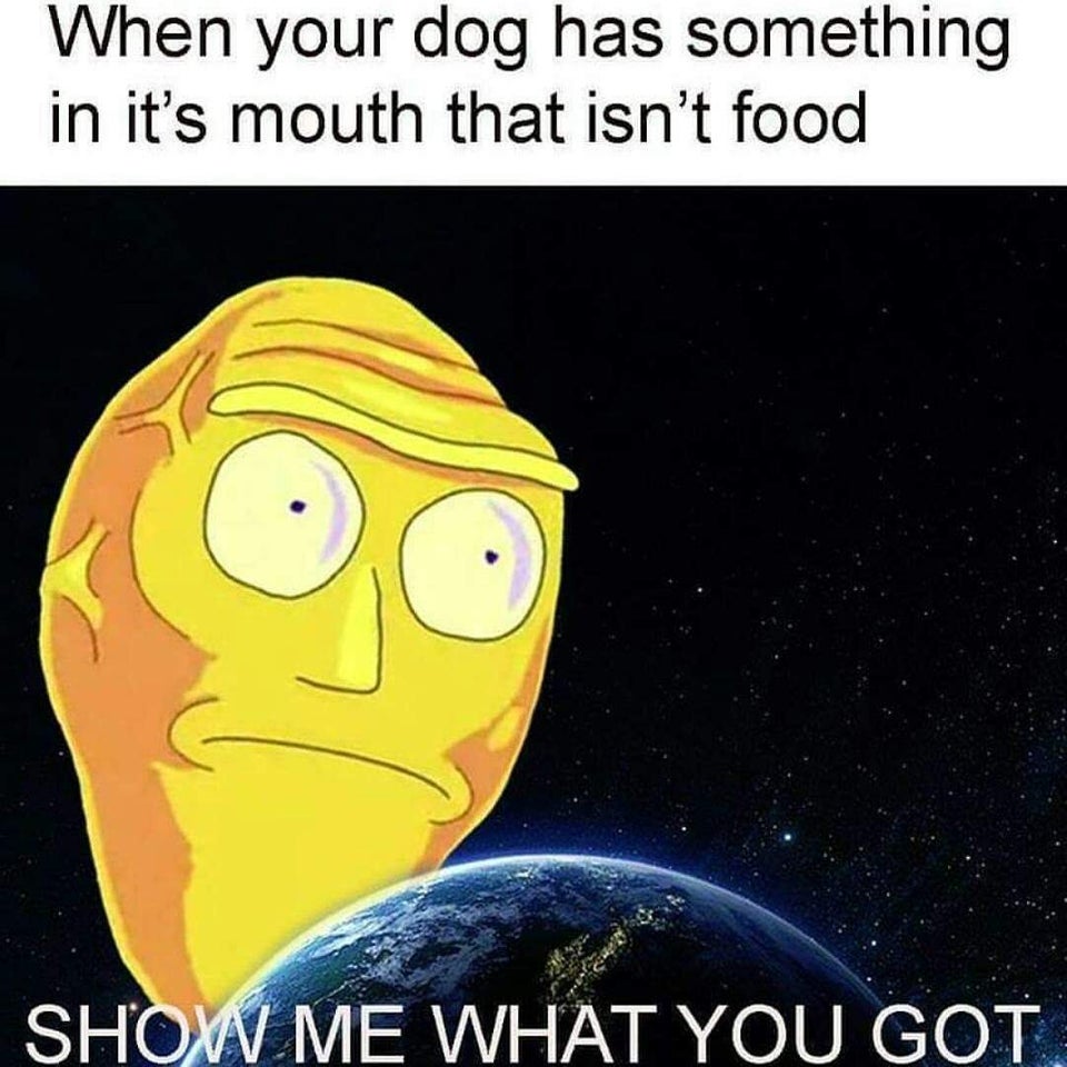 Best Rick and Morty Memes (3)