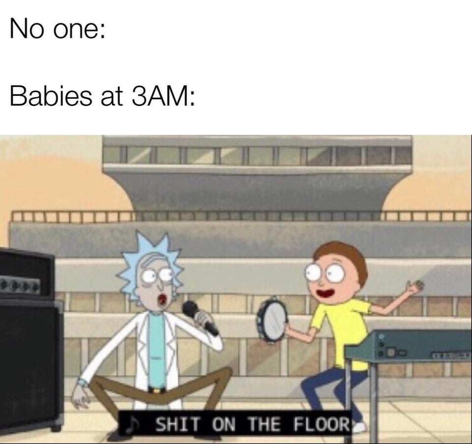 Best Rick and Morty Memes (6)