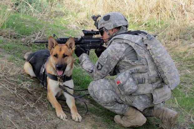 Military Dogs attacks Jihadists, saves 6 soldiers