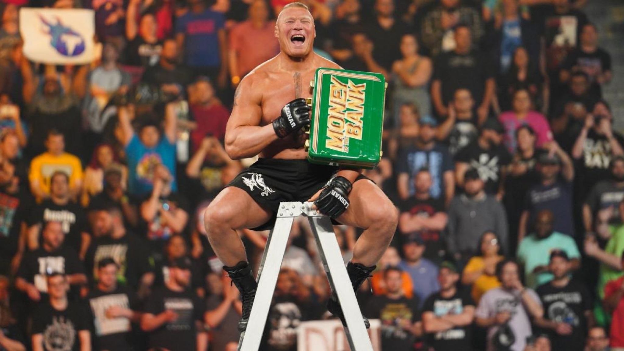 WWE Brock Lesnar Money In The Bank