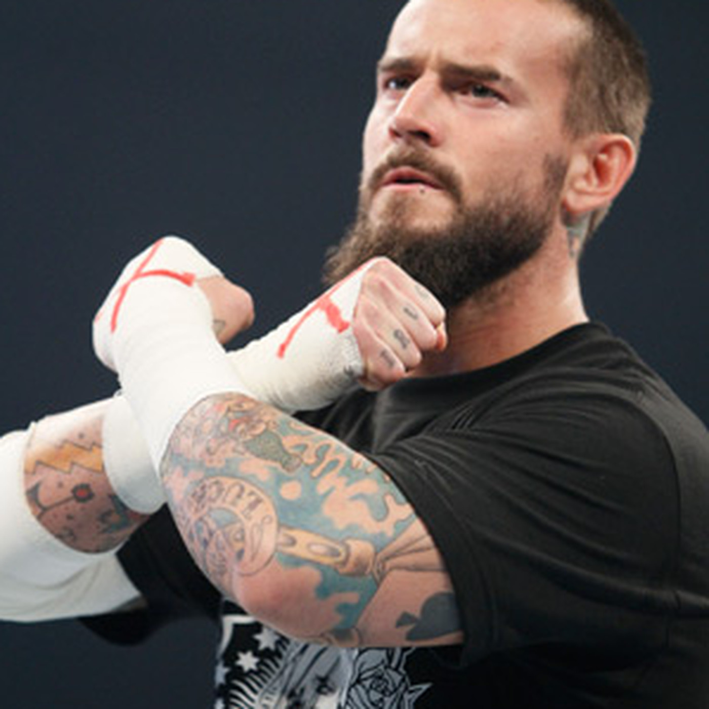 CM Punk WWE Return