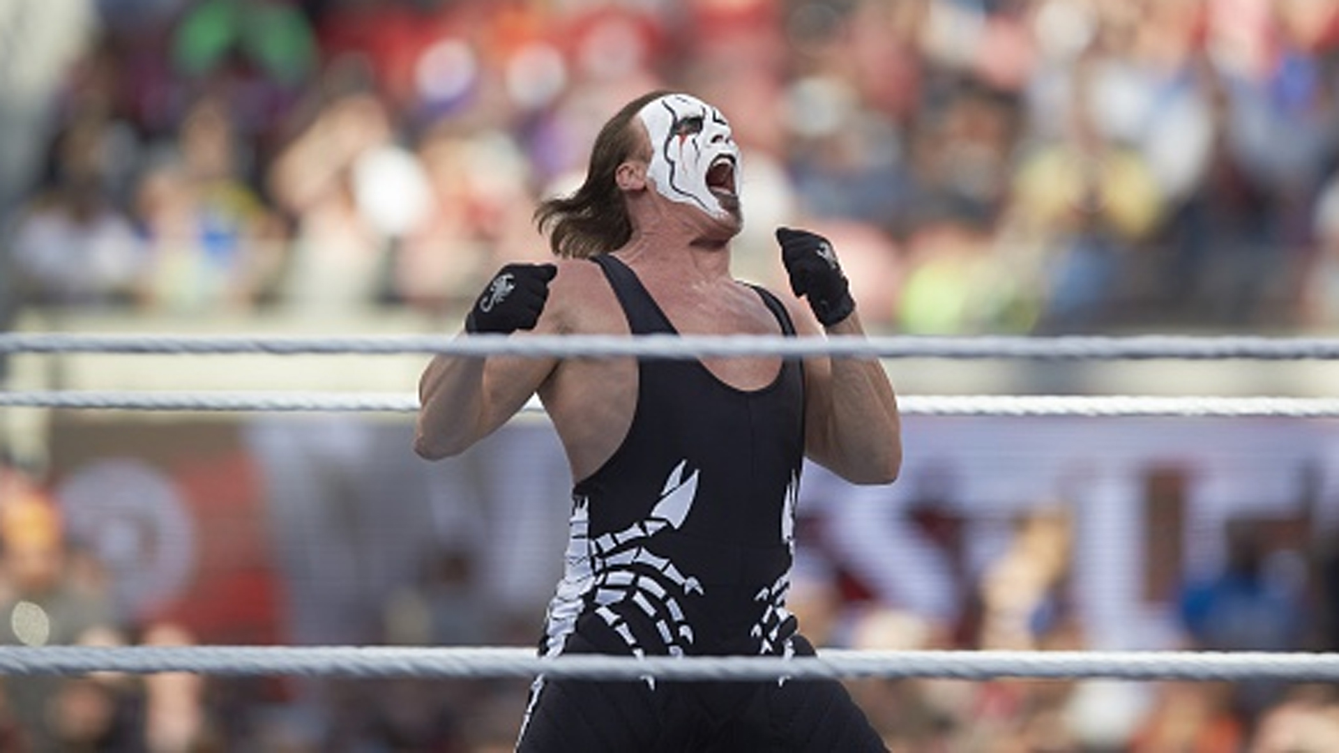 Undertaker vs Sting WWE Wrestlemania