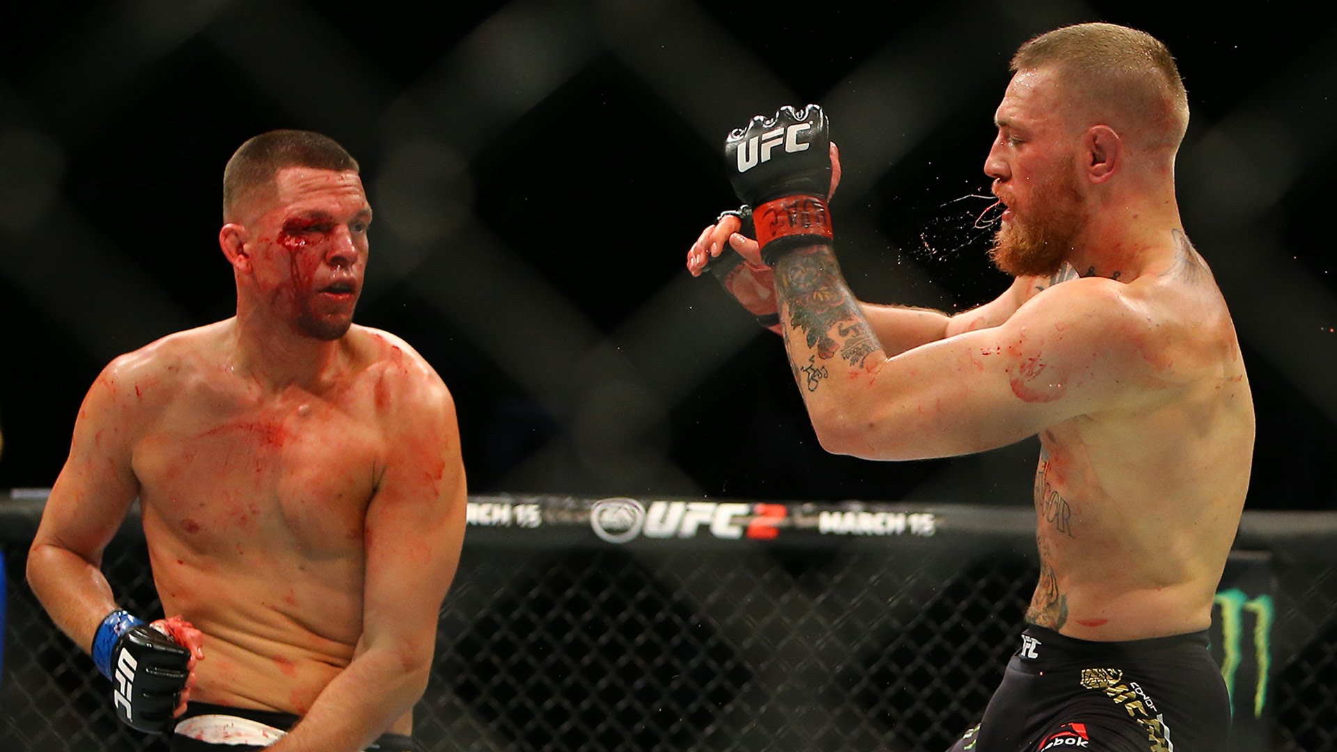 Nate Diaz vs Conor McGregor UFC