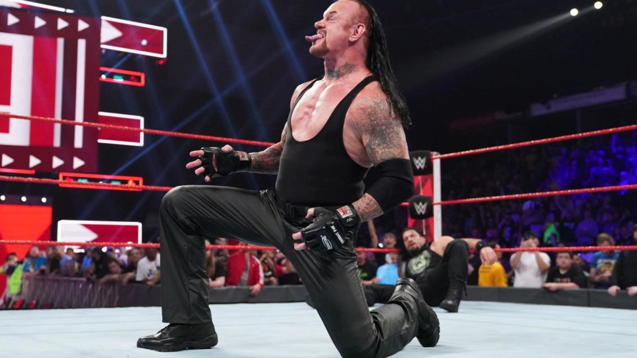 The Undertaker Retirement WWE
