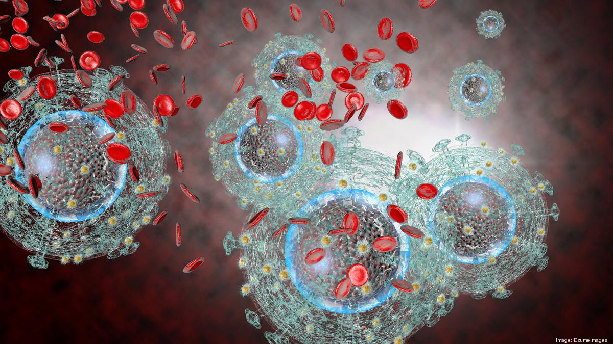 Purging the HIV Reservoir for a Cure