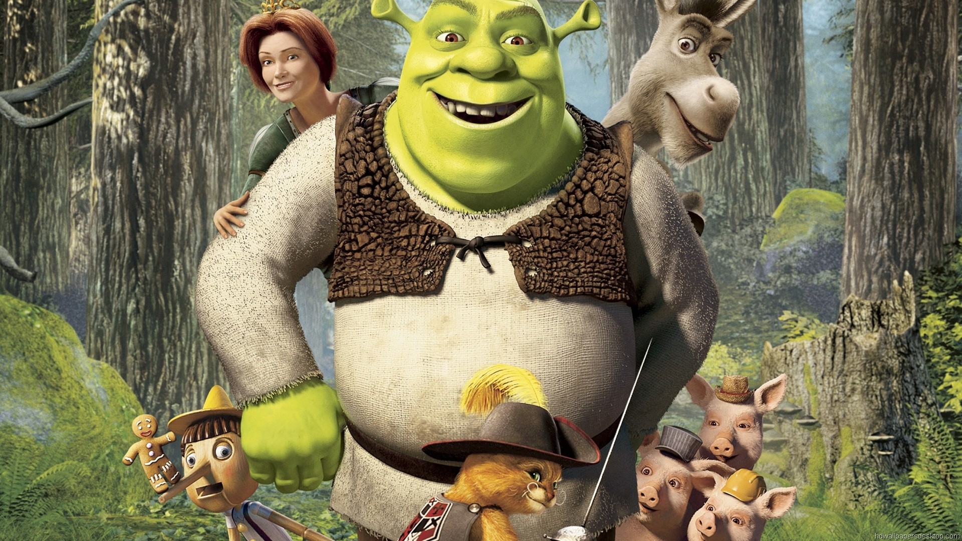 Shrek 5 Confirmation and Cancellation Reports