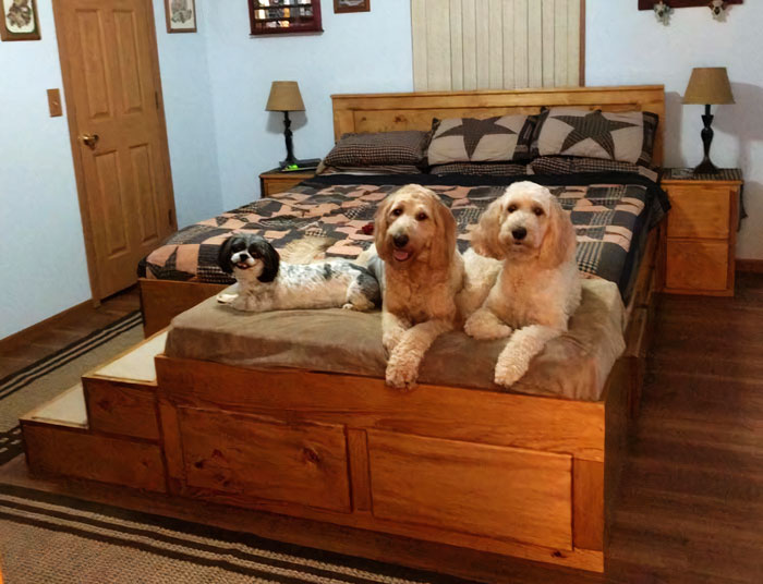 This Company Is Making Innovate Wooden Bed Frames With Built In Pet Beds