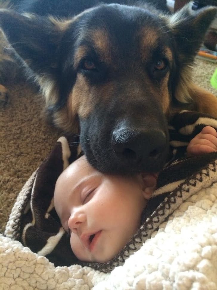 He’s guarding the baby