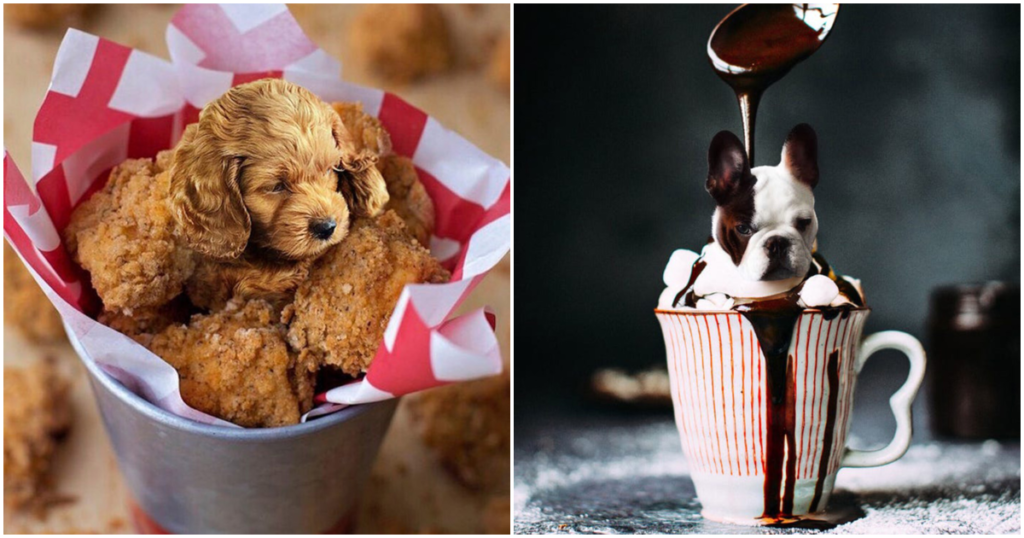 17 Dog Faces Photoshopped Into Foods